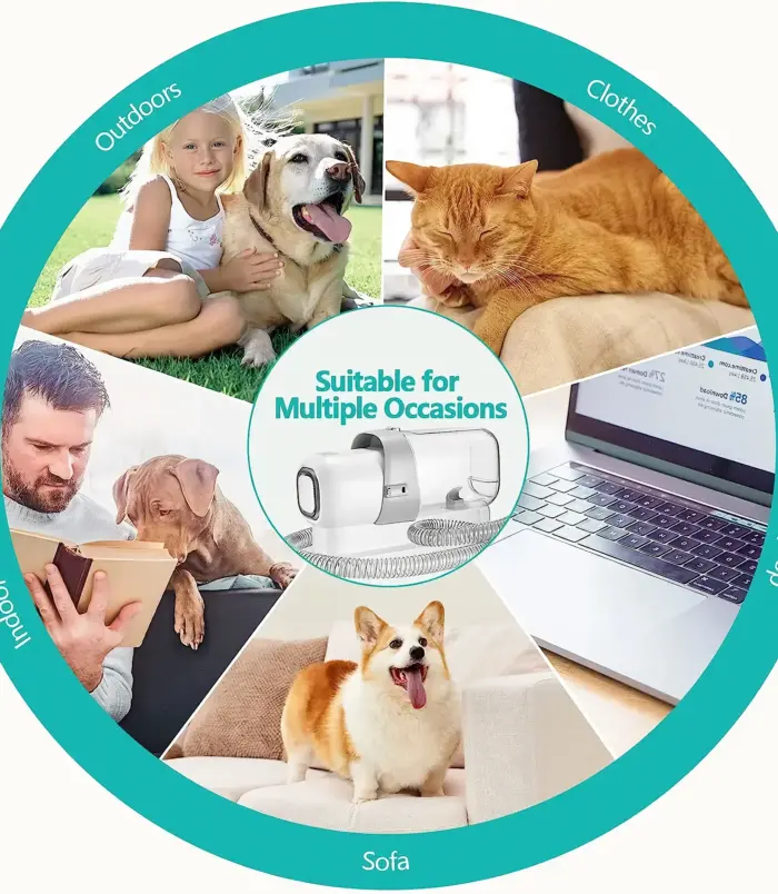 9be93ed723bc3e437b345f022475446e.webp 9be93ed723bc3e437b345f022475446e.webp