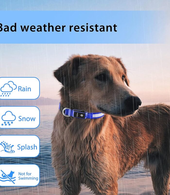 9d04600ca4a01cb716d0fc400a62d34a.jpg 9d04600ca4a01cb716d0fc400a62d34a.jpg