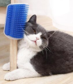 Cat Self-Grooming Wall Brush