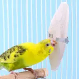 9f6f36f1c5aed5b7814f8b752c0a6e41.webp