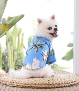 Hawaiian Summer Breeze Dog T-Shirt