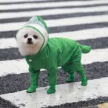 a0d2b19ae5d8c6bfbcb412de2f08418d.jpeg