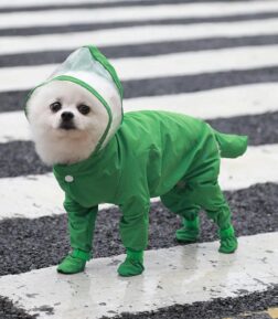 Waterproof Dog Raincoat
