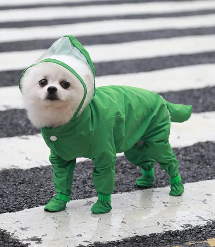 a0d2b19ae5d8c6bfbcb412de2f08418d.jpeg
