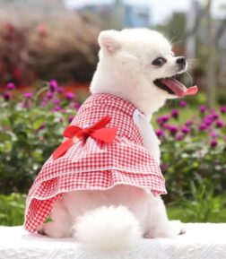Dog Princess Dress