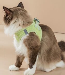 Reflective Mesh Cat & Small Dog Harness Leash Set