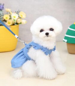Luxury Denim Dog Dress