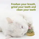 a2212fa409c1fd01a286489d211e20e8.webp