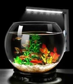 Compact LED Aquarium Light