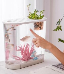 Transparent Plastic Goldfish Tank