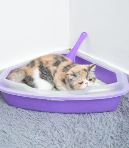Triangle Semi-Enclosed Litter Box