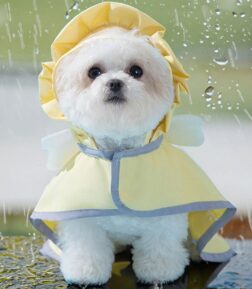 Waterproof Dog Raincoat with Quick-Dry Cape for Small to Large Dogs