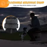 ae9708279a0031593ae875c15bcf5d83.webp
