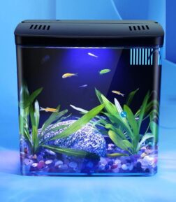 Compact LED Fish Tank with Self-Circulating Back Filter