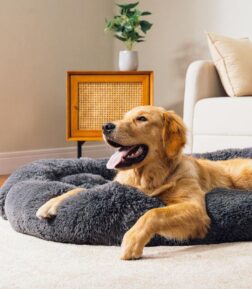 Cozy Fluffy Large Dog Bed