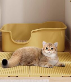 Oversized Anti-Splash Cat Litter Mat