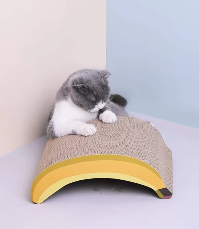 b17fa5938ce8726d31eda457dc333a36.webp b17fa5938ce8726d31eda457dc333a36.webp