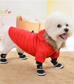 Winter Windproof Dog Hoodie Jacket