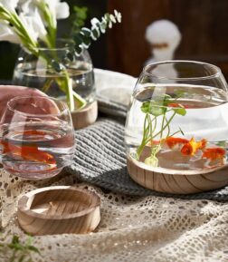 Elegant Glass Desktop Fish Tank
