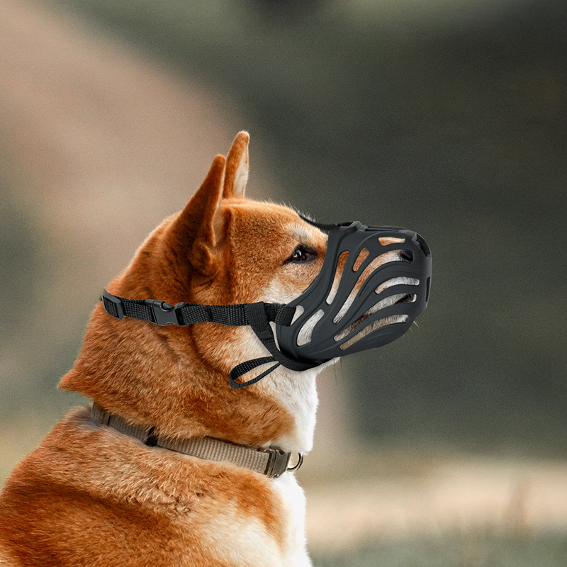 b4cc26819349f3779abde24c780d372c.jpg b4cc26819349f3779abde24c780d372c.jpg