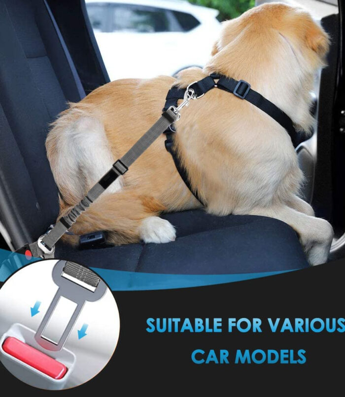 b6ce3ee4b96ffa04324293491fa6630b.jpg b6ce3ee4b96ffa04324293491fa6630b.jpg