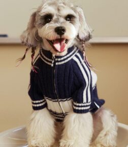 Cozy Zipper Pet Cardigan