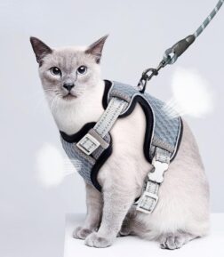 Adjustable Reflective Cat Harness and Leash Set