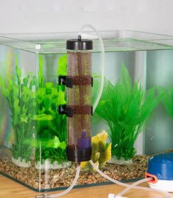 Brine Shrimp Hatchery Kit