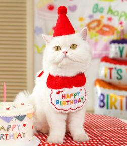 Charming Pet Birthday Bandana and Hat Set
