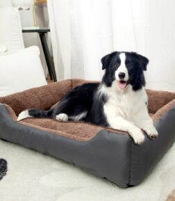 Cozy Dog Sofa Bed