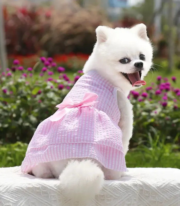 b9baaecd179968be3eacb972ab148da1.webp