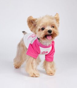 Lightweight Summer Pet T-Shirt
