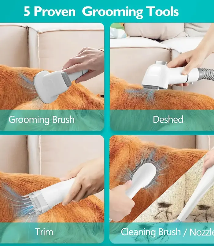 bcf50388b8cbcf8255782bf140c02ad2.webp bcf50388b8cbcf8255782bf140c02ad2.webp