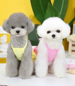 Spring Princess Dog Dress
