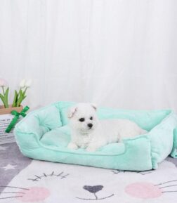 Comfort Sofa Bed