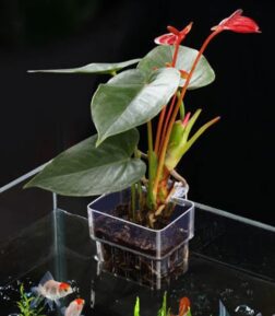 Aquarium Planting Basket Hydroponic Support