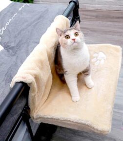 Hanging Cat Hammock Bed