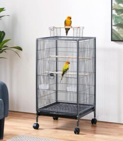 40 Inch Wrought Iron Bird Cage