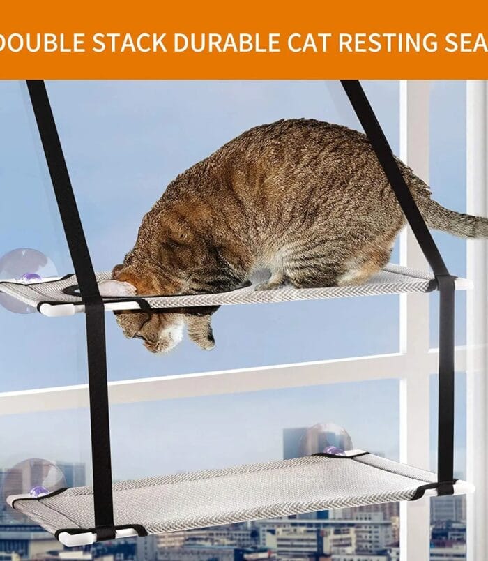 c4e29e4d85db4ebeb4640ab1e821f4c6.jpg