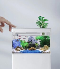 Compact Aquascape USB Fish Tank with Adjustable LED Lighting & Automatic Filtration