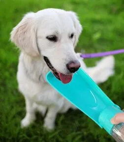 Portable Foldable Dog Water Bottle Dispenser