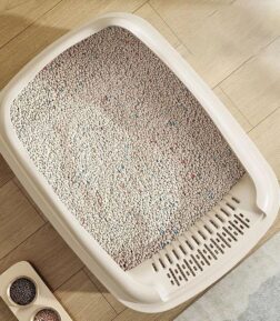 Semi-Closed Cat Litter Box