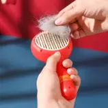 ca3a7f4ae38d40208bcaade8f8e194aa.webp