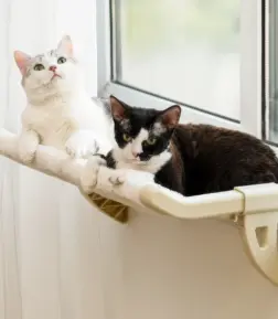 Cat Hammock Hanging Bed
