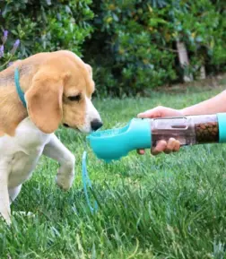 3-in-1 Portable Pet Hydration Station