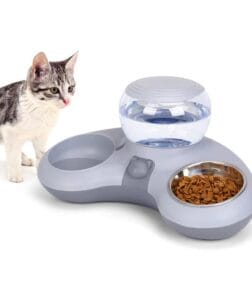 Automatic Water Dispenser & Double Cat Bowl Set