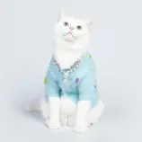 d1086be440c1c2d6b813ae7f682eb917.webp