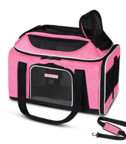 Airline Approved Pet Carrier with Expandable Top & Safety Features