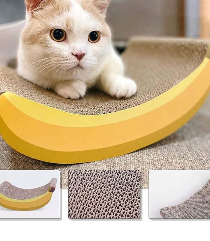 d244fbe3dd7026bb53c5b853969abe12.jpeg d244fbe3dd7026bb53c5b853969abe12.jpeg