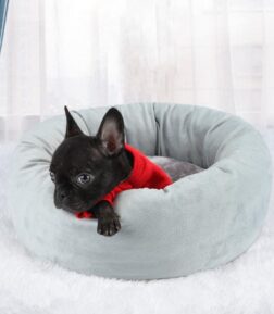 Plush Dog Bed